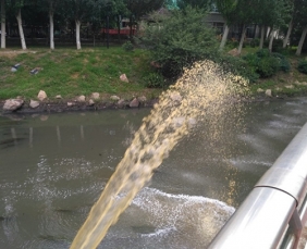 厌氧氨氧化菌简单讲解