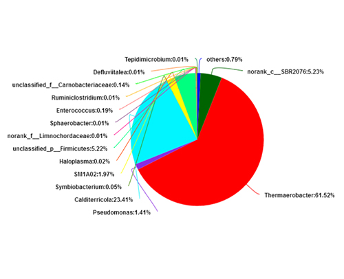 DY系列高温菌技术