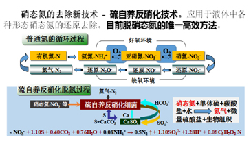 硫自养反硝化脱氮（SAD）技术