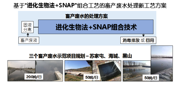 进化生物法+SNAP 