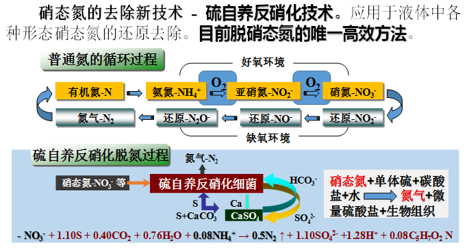 硫自养反硝化脱氮（SAD）技术